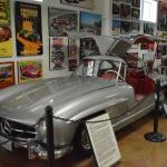 Cambria_0130 (November 02, 2013)